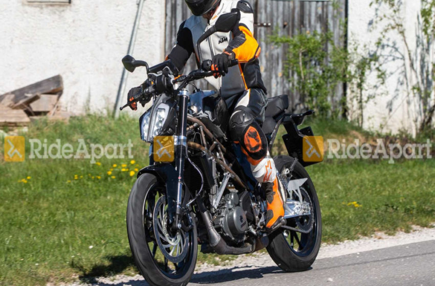 ktm duke 390 2021