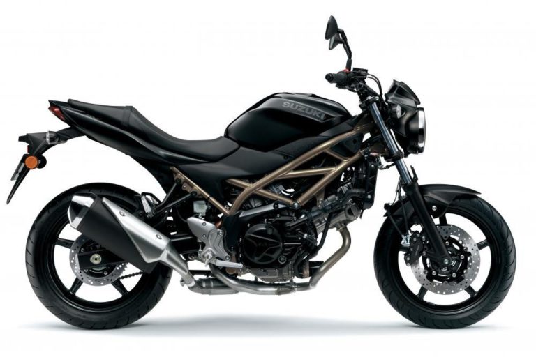 Suzuki sv650 2021