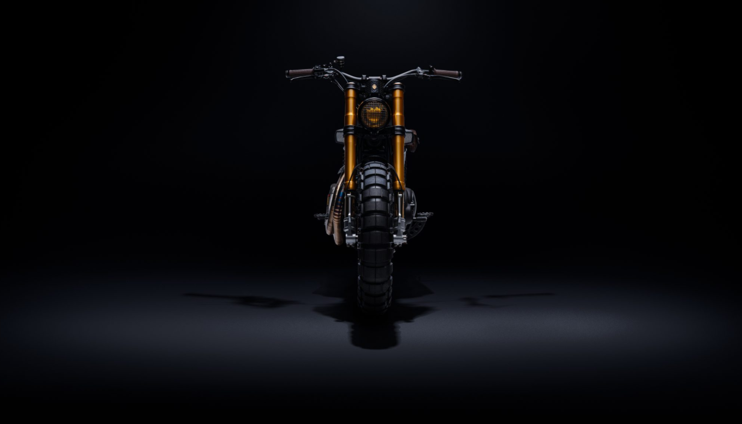 Cohn-Racers-builds-custom-Harley-Davidson-Sportster-1200-Muscle-R2