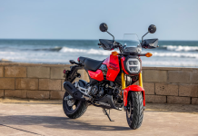 2026 Honda Grom: New Five-Speed Transmission & Customizable Bodywork 2026-grom.png