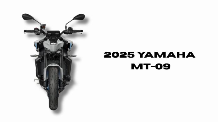 2025-Yamaha-MT-09.jpg