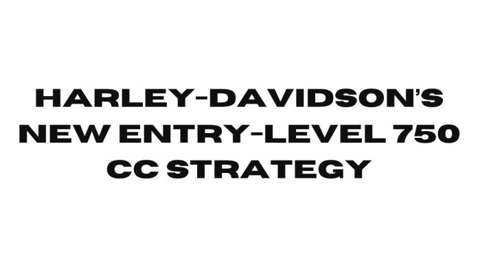 Harley-Davidsons-New-Entry-Level-750-cc-Strategy.jpg