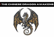 Benda Unleashes a 19-Vehicle new Avalanche on Europe Benda.jpg