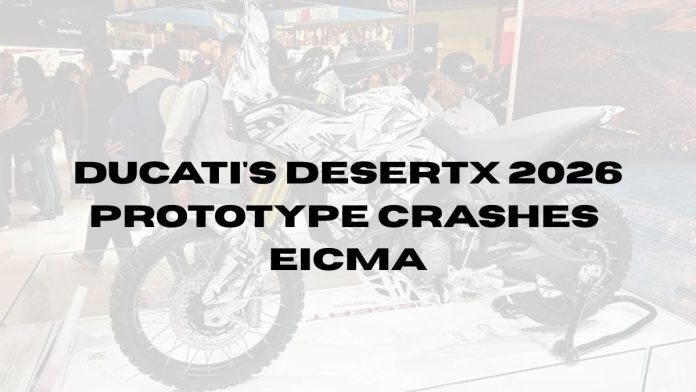 Ducatis-New-DesertX-2026-Prototype-Crashes-EICMA.jpg