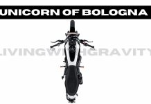 The Unicorn of Bologna Hits New Indian Shores Unicorn-of-Bologna.jpg