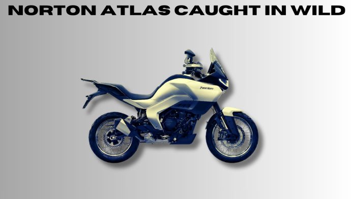 Norton-Atlas-caught-in-Wild.jpg