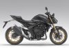 Honda Hornet 1000 New Fire Risk Recall honda-hornet-1000-sp.jpg